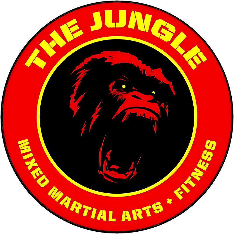 Illinois-Martial-Arts-Academy Illinois-Martial-Arts-Academy